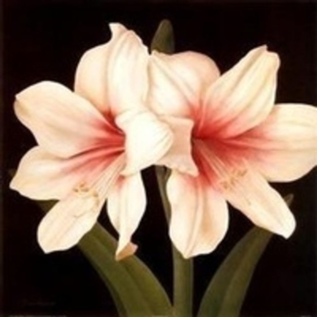 Wanda B. Hougland Profile Photo
