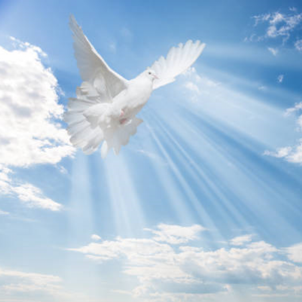 Joseph Paul Petrosky Profile Photo