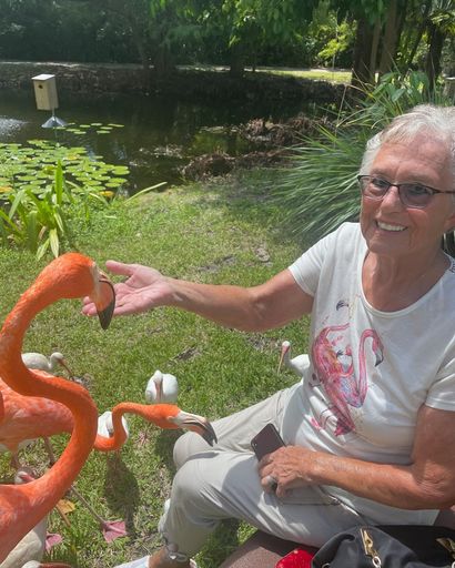 Andreene Marie Witt's obituary image