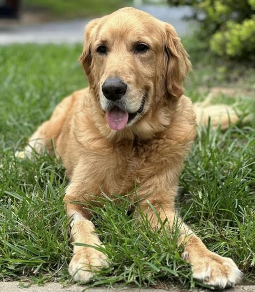 Duke Hubbard