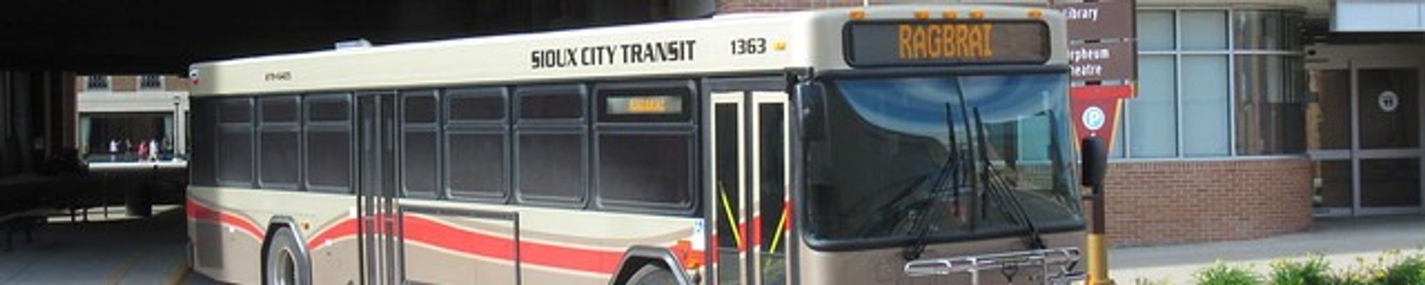 Cover for Tamara Jeanine "Tami" Anderson's Obituary