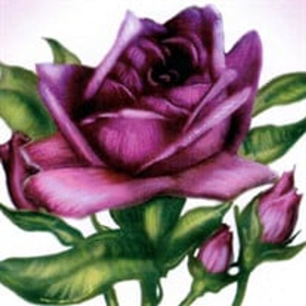 Sharon Lorraine Bowyer