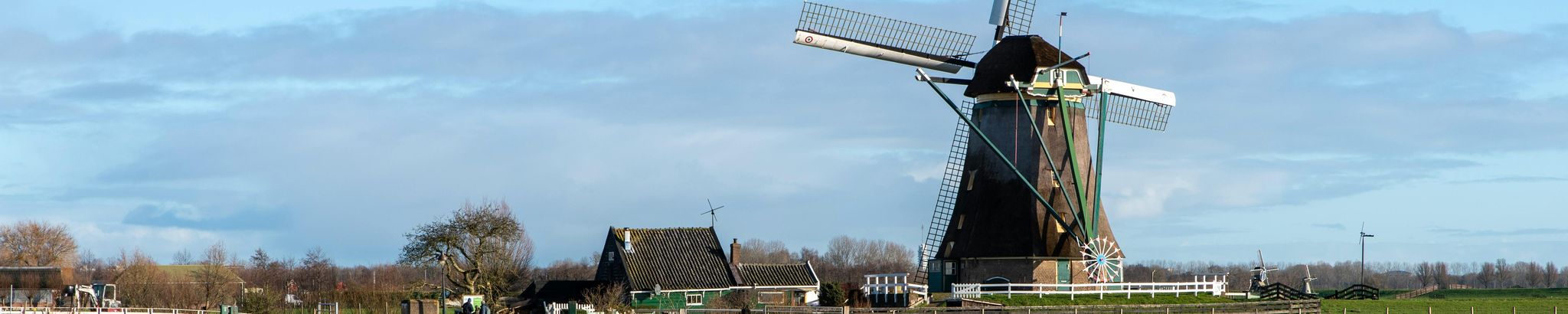 Cover for Cornelia Elisabeth Wichers's Obituary