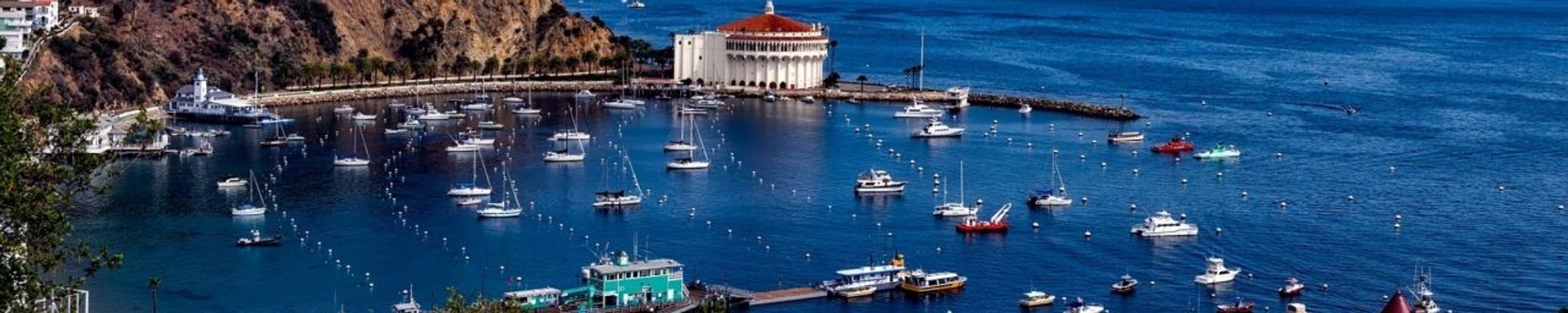 Cover for Kimberly Jane Ferguson's Obituary