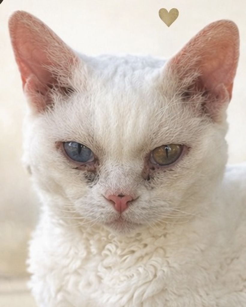 Jaxson West Profile Photo