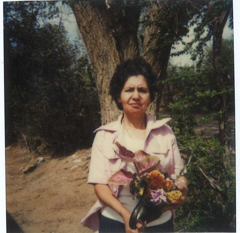 Cleo Avila