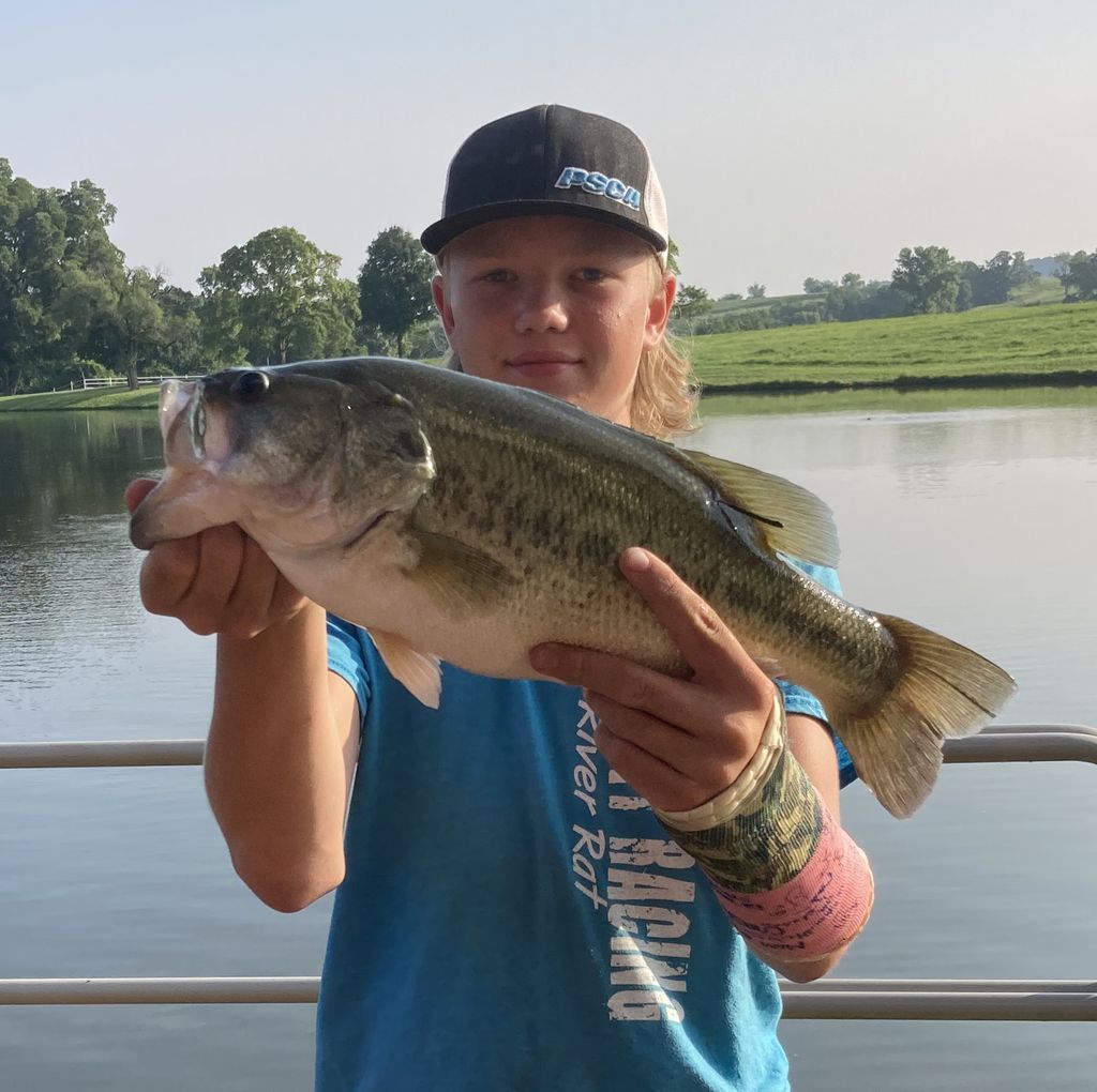 Hayden Michael Brant