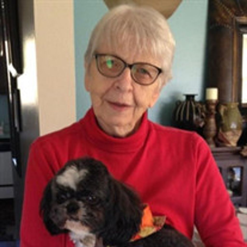 Mary Ann Hopkins