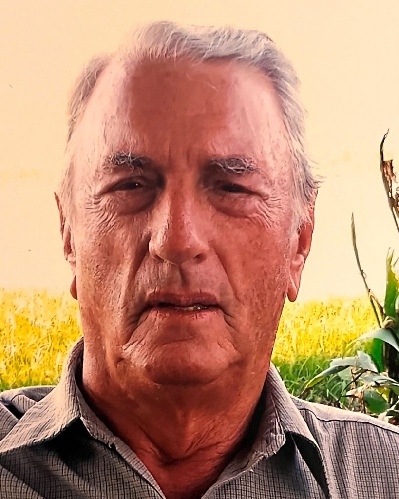 Henry A. "T-Boy" McCall, Jr. Profile Photo