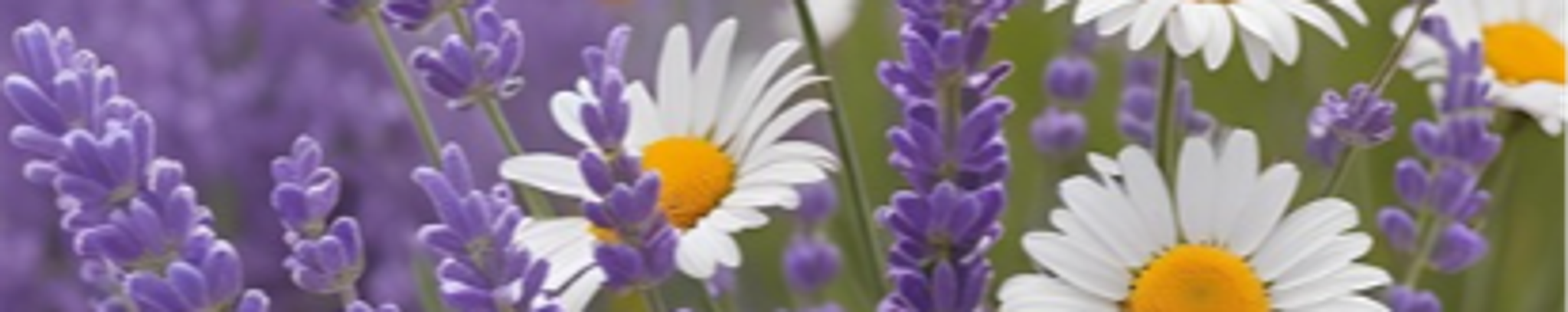 Cover photo for Alexina "Lena" Mack's Obituary