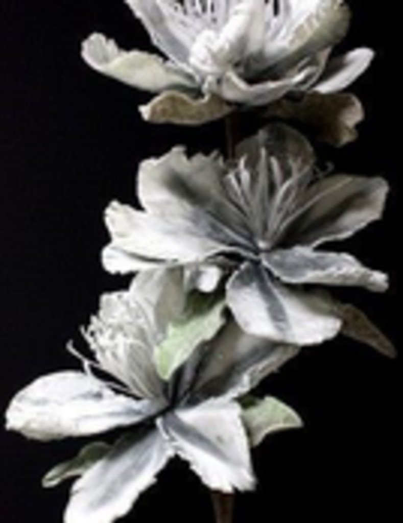 Andrew Barrington Sinclair