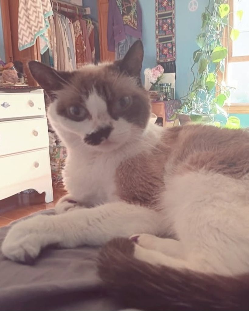 Bella Lee Modino Profile Photo