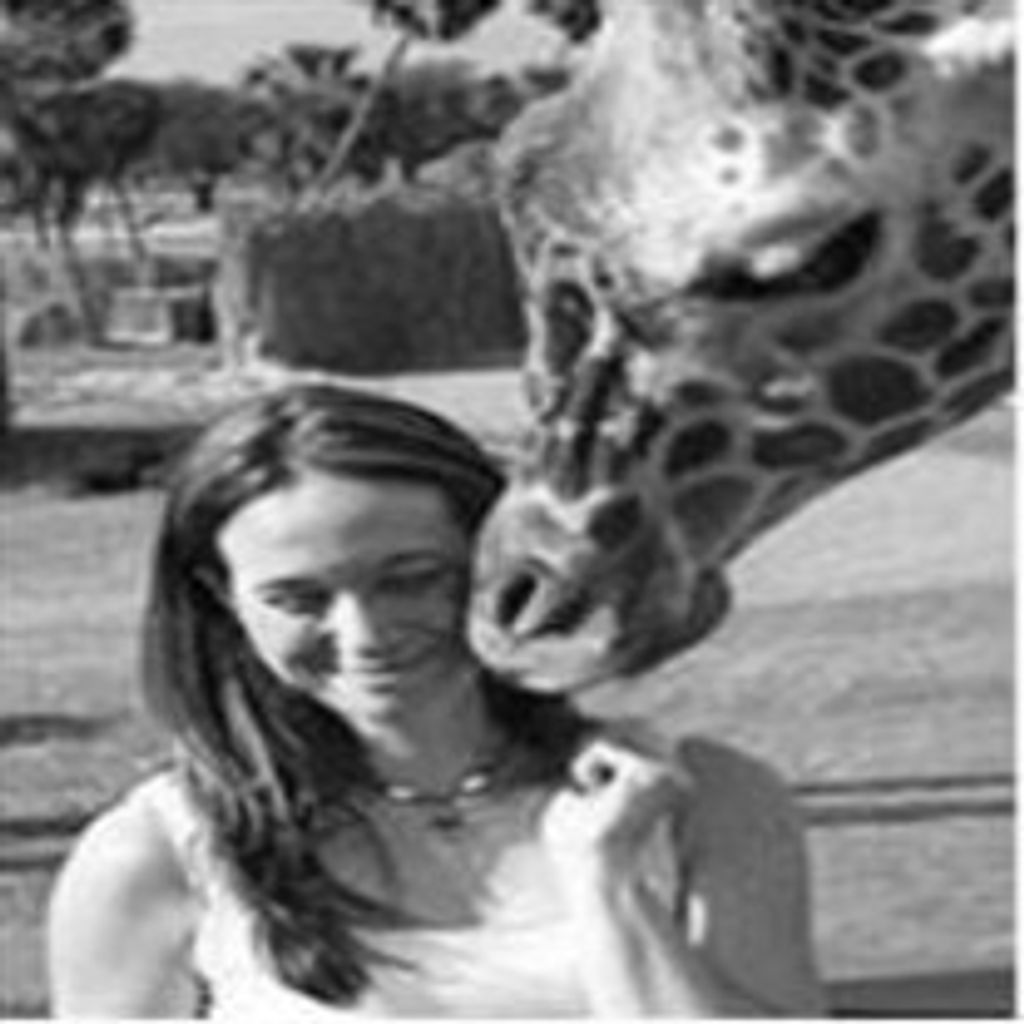 Sandra Lindsey Profile Photo