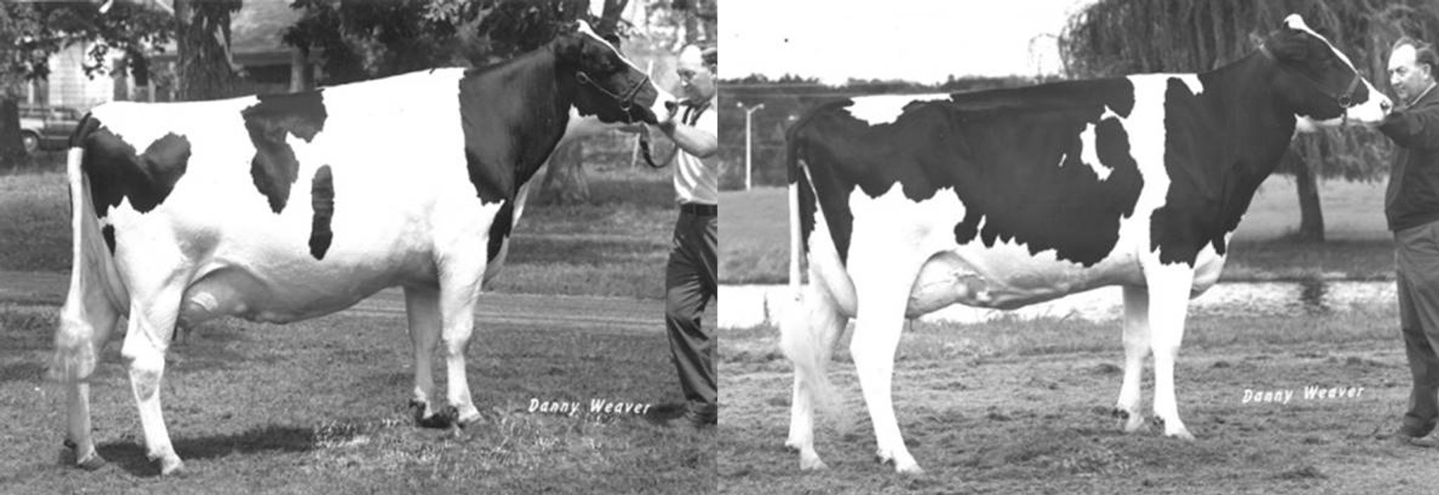 Cover photo for Raymond Becher, Jr.'s Obituary