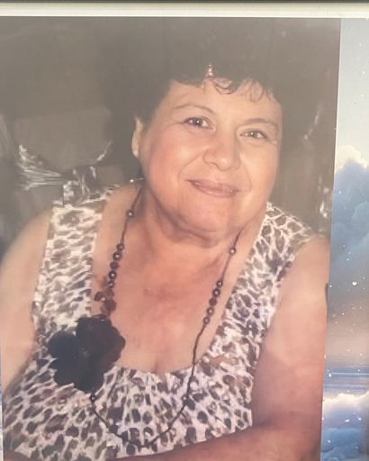 Elisa Huizar Ceballos Llamas's obituary image