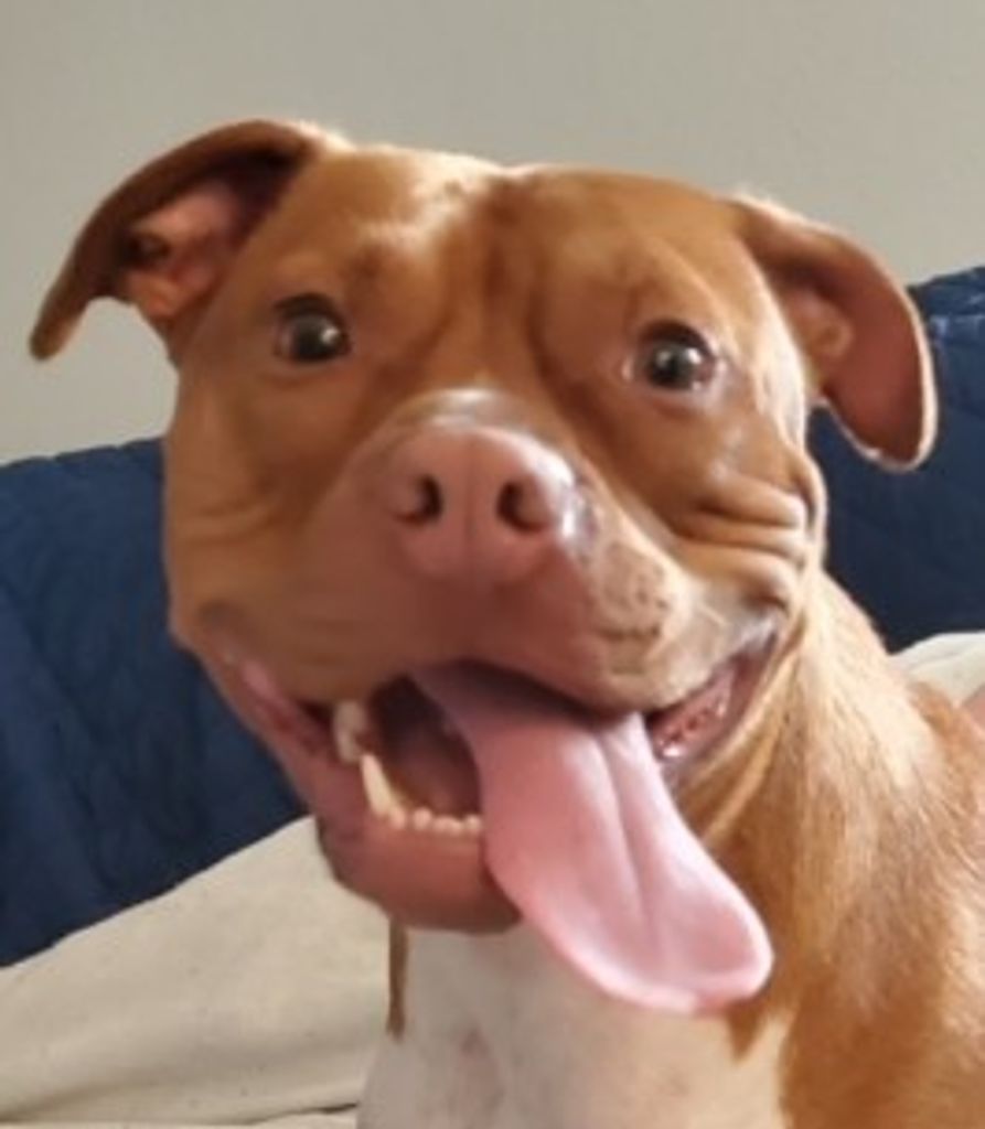 Mable  Graphman Profile Photo