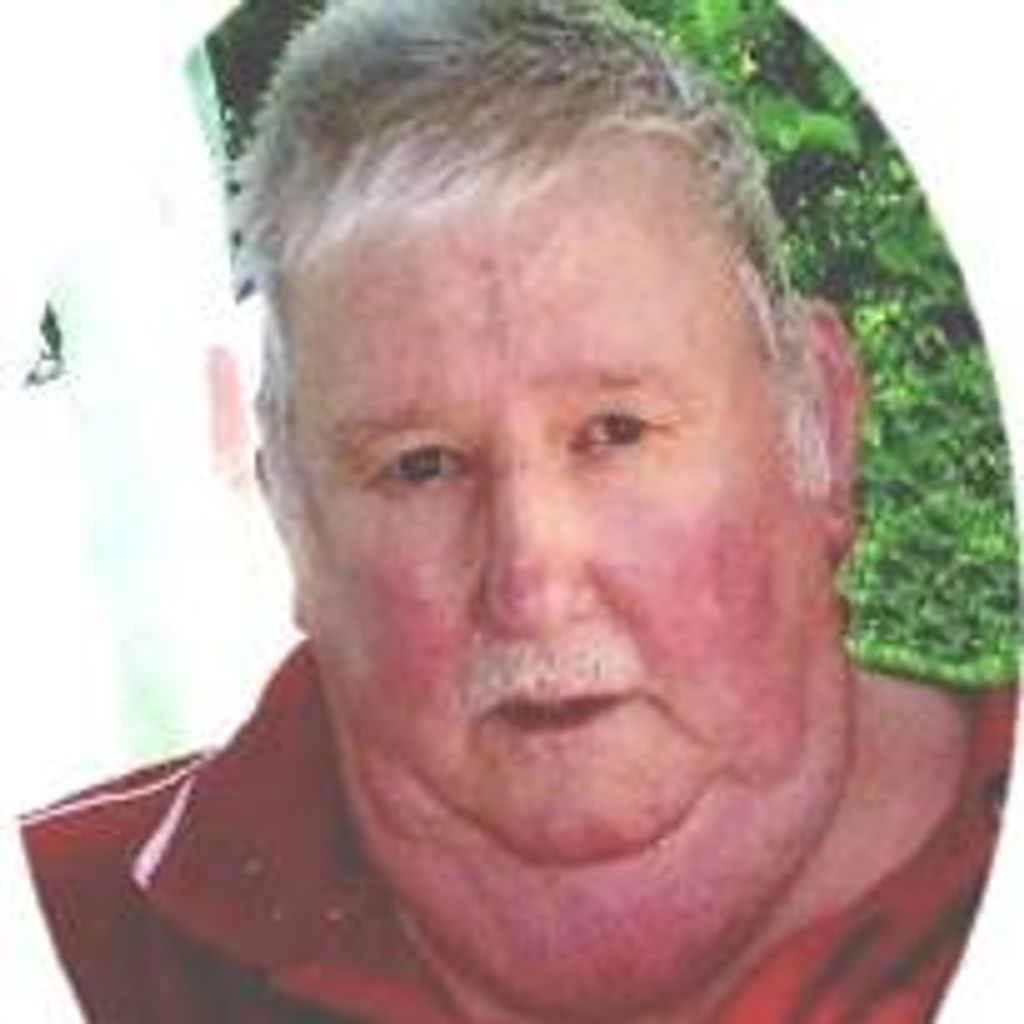 Wayne Bowers Profile Photo