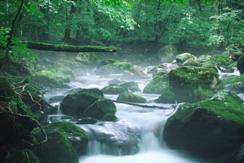 Vincent Sagnelli Profile Photo