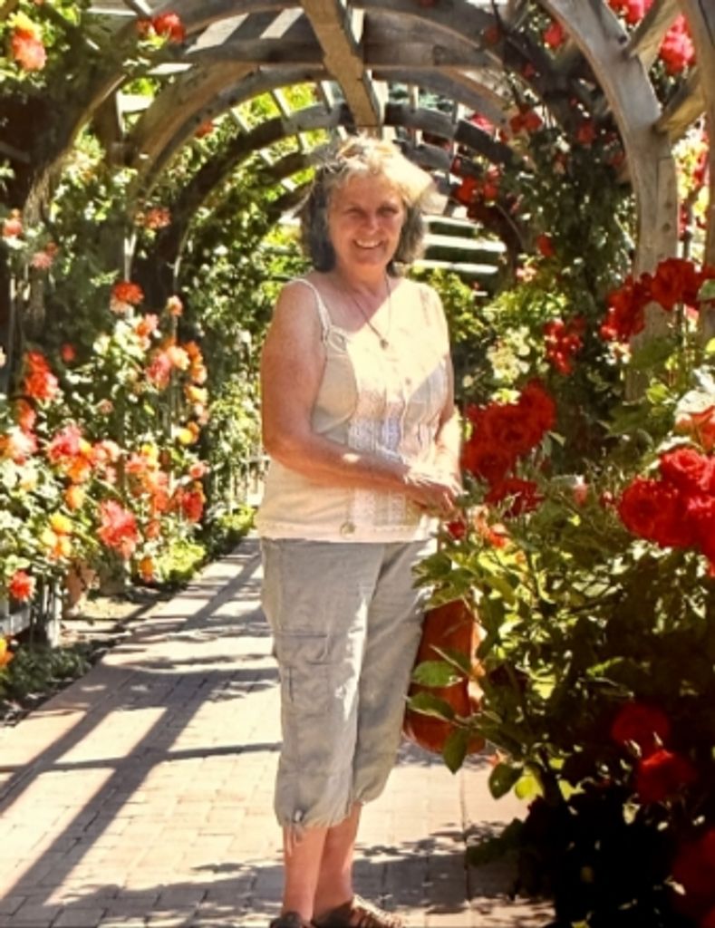 Jill Louise Rowley-Warr Profile Photo