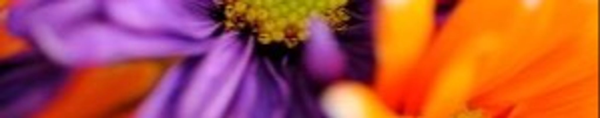 Cover photo for Taliyah Mitchell's Obituary