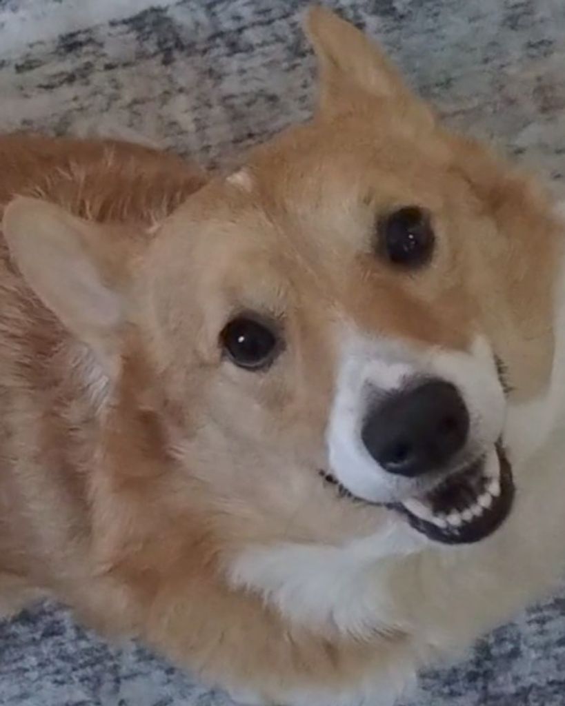 Ein