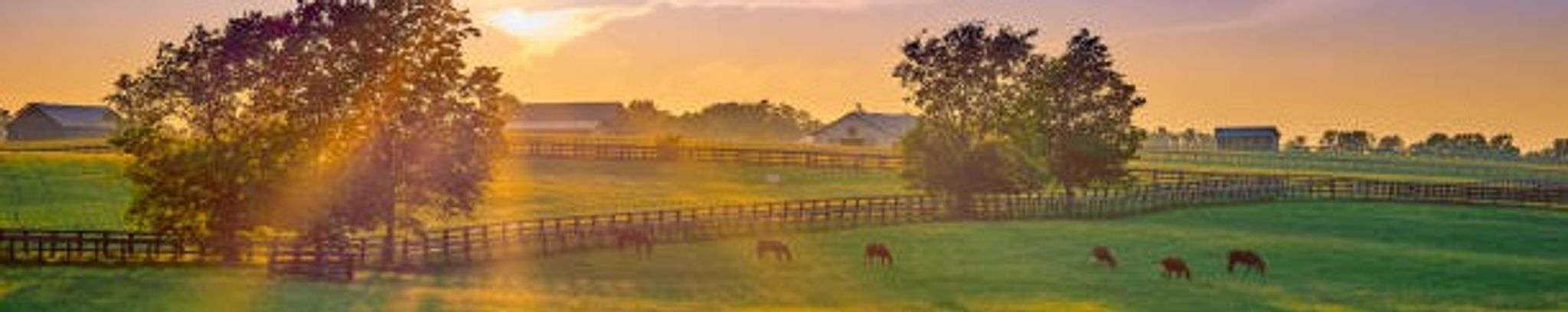 Cover for James E. Dureka's Obituary