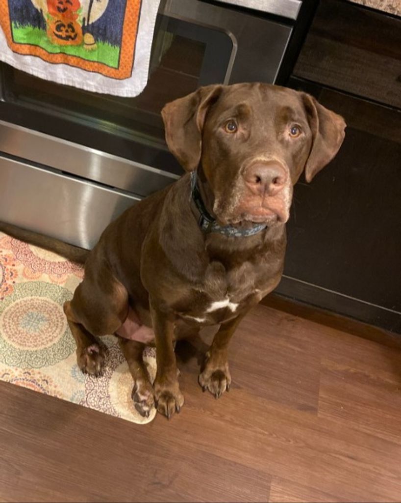 Gus Crumley Profile Photo