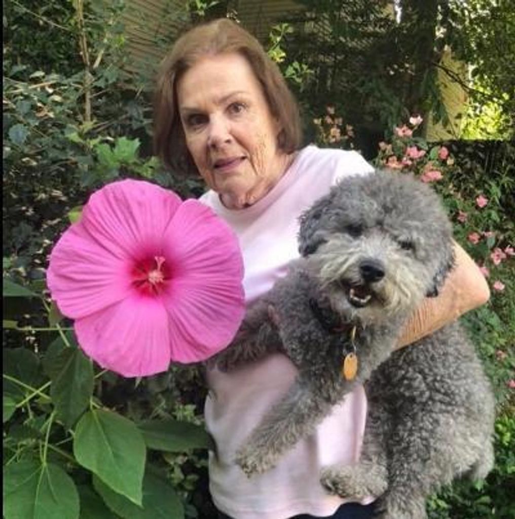 Judie Cornbleet Profile Photo