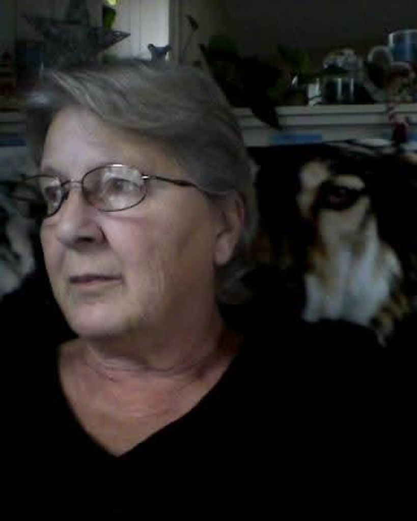 Mary Elizabeth Harrington