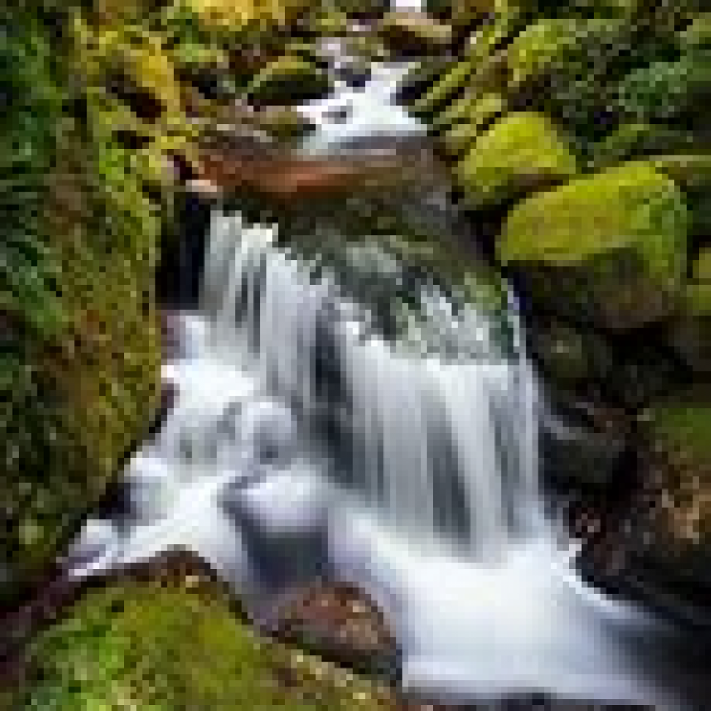 David T. Fetter, Sr. Profile Photo