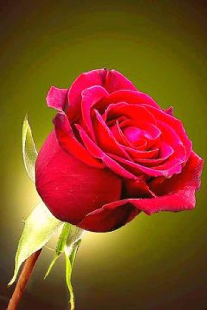 Infant Dynae Smith Profile Photo