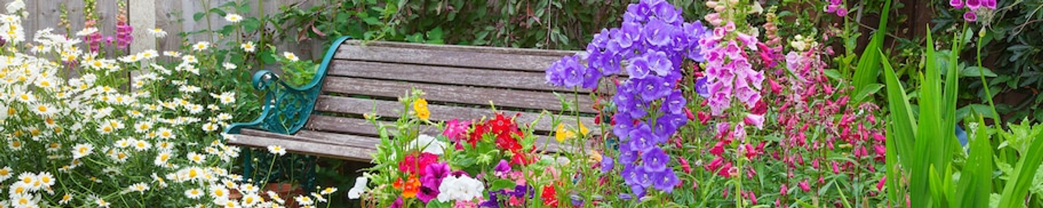 Cover photo for Maxine Hedman's Obituary