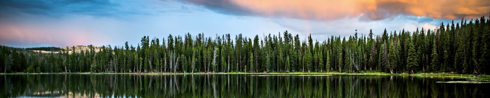 Cover for Nicholas Baker's Obituary