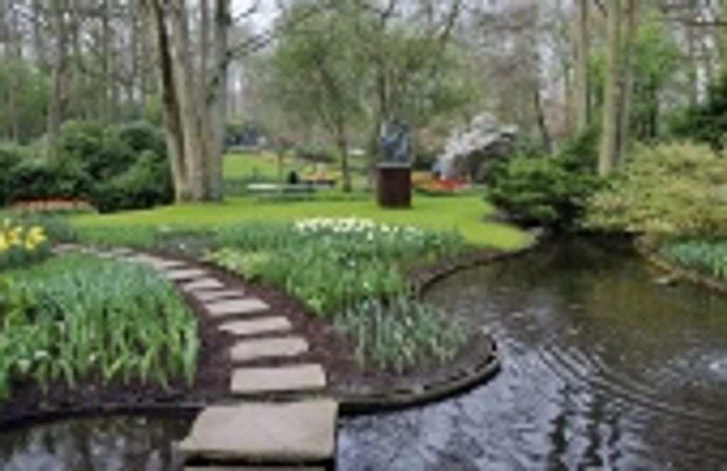 Chiyoko Thompson Profile Photo