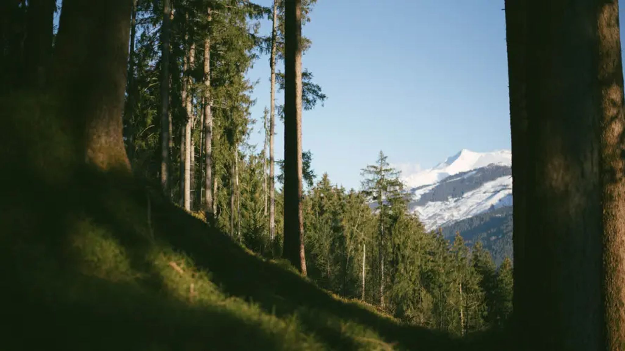 Cover for John Gronert's Obituary