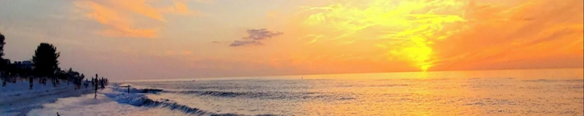 Cover photo for Frances "Fran" Donoian's Obituary