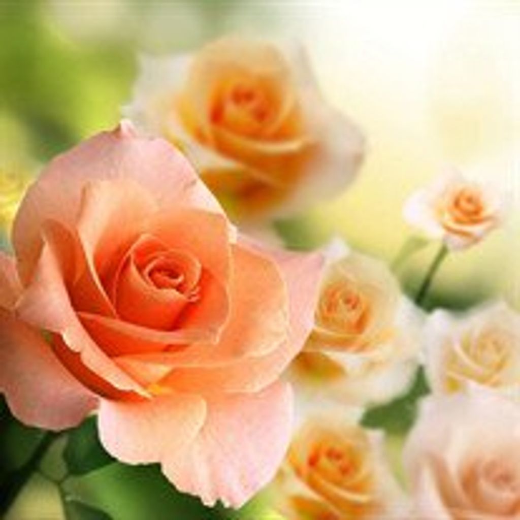 Jacqueline Feinbloom