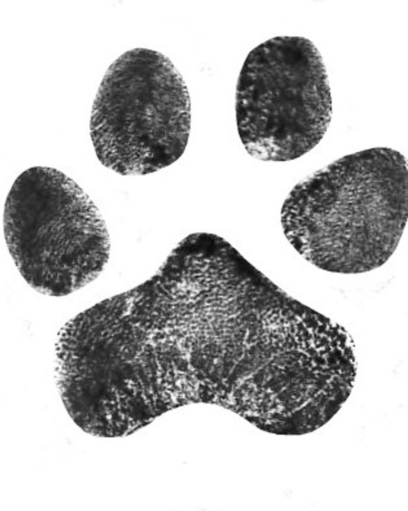 Buster Thomas Profile Photo