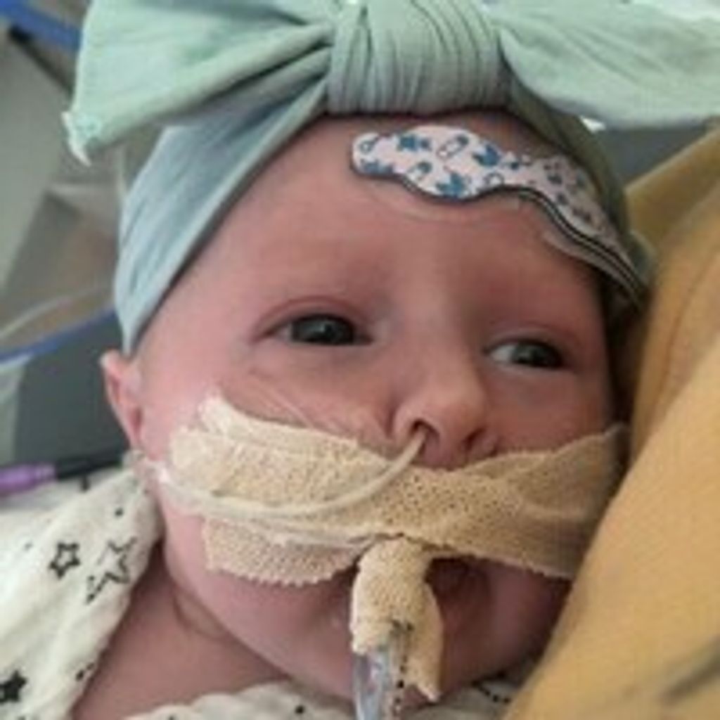 Braelynn Rose Little