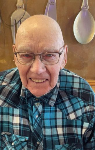Lyle Jensen's obituary image