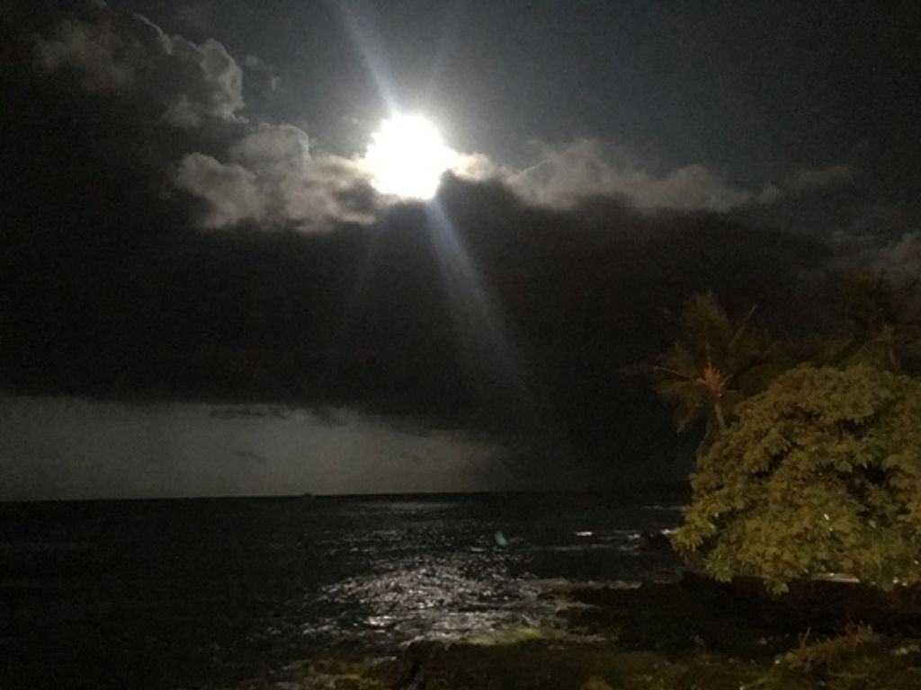 Gerlean Avon Beverly Profile Photo