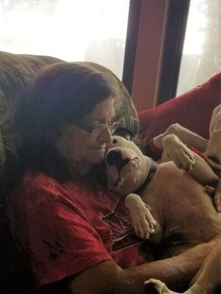 Patricia Ann Freeman Profile Photo