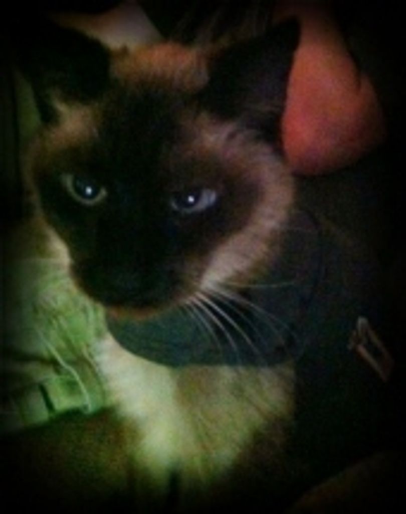 Sly Jahr Profile Photo