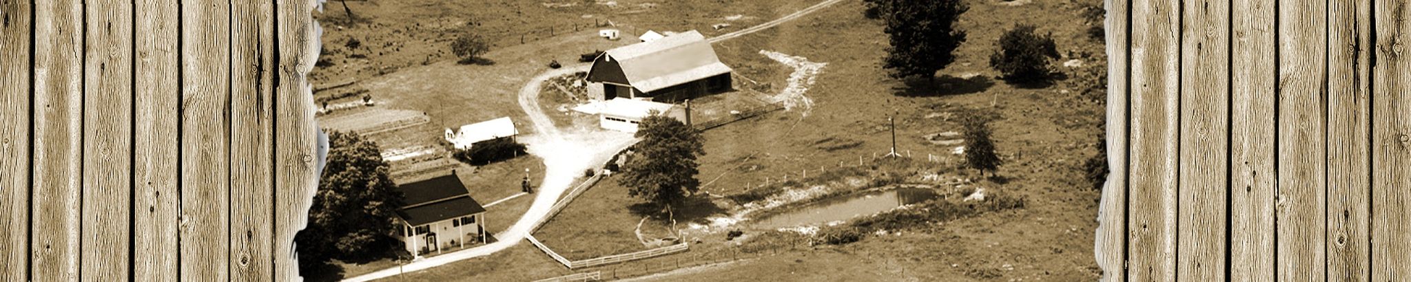Cover photo for Mary Reidl's Obituary