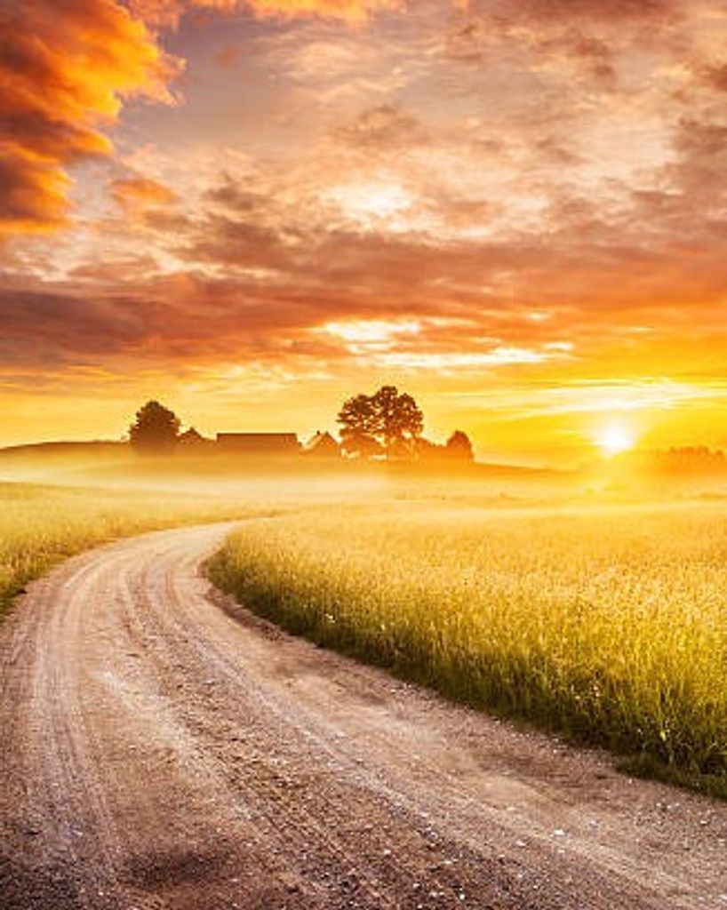 Ezra 'Buzz'  Wallace Profile Photo