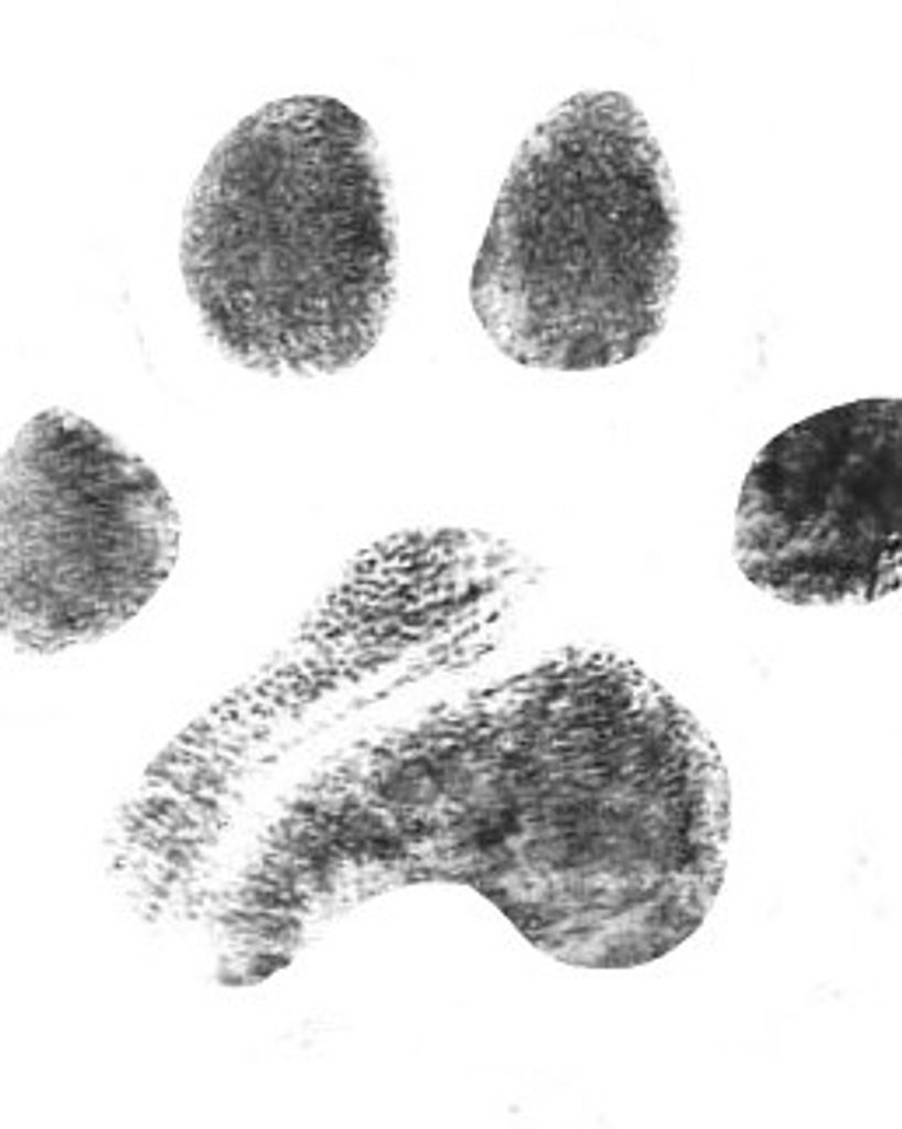 Cersei Ritch Profile Photo