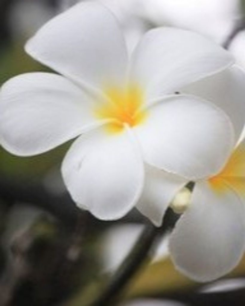 Marlynn John Profile Photo