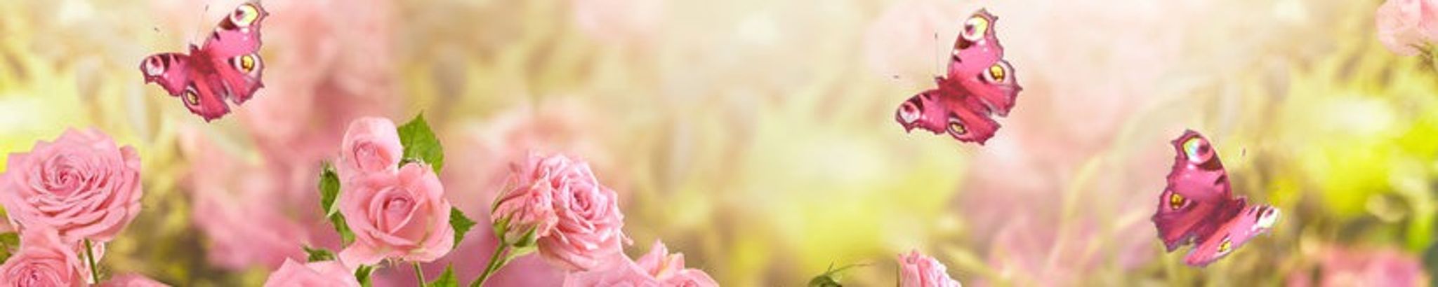 Cover photo for Cynthia Ann Medina Gonzales's Obituary