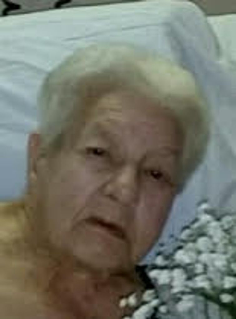 Laraine W. Lee Wittig