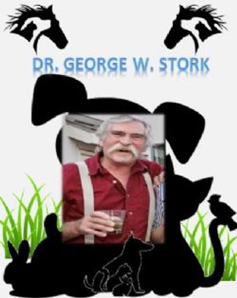 Dr. Stork